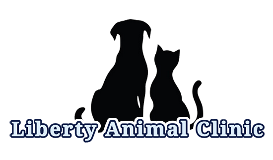 temp logo