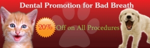 Dental Care 20% off