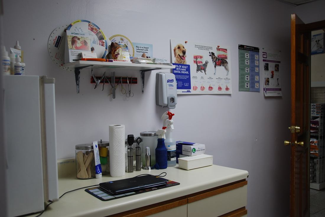 Clinic Tour 5