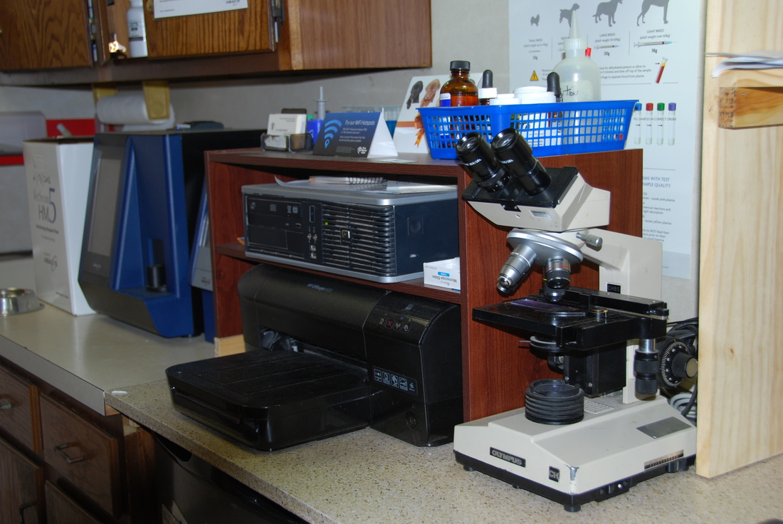 Clinic Tour 4