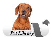 pet library banner